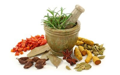 cabinet-approves-extension-of-tenure-of-indo-china-mou-on-traditional-medicine